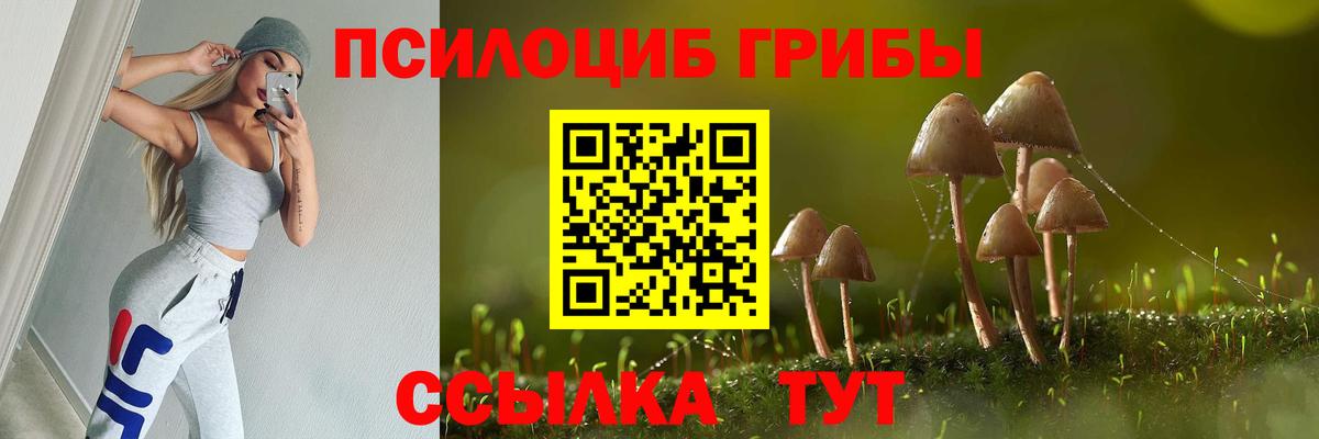 Псилоцибиновые грибы MAGIC MUSHROOMS  Вход с VPN  Ростов Великий 